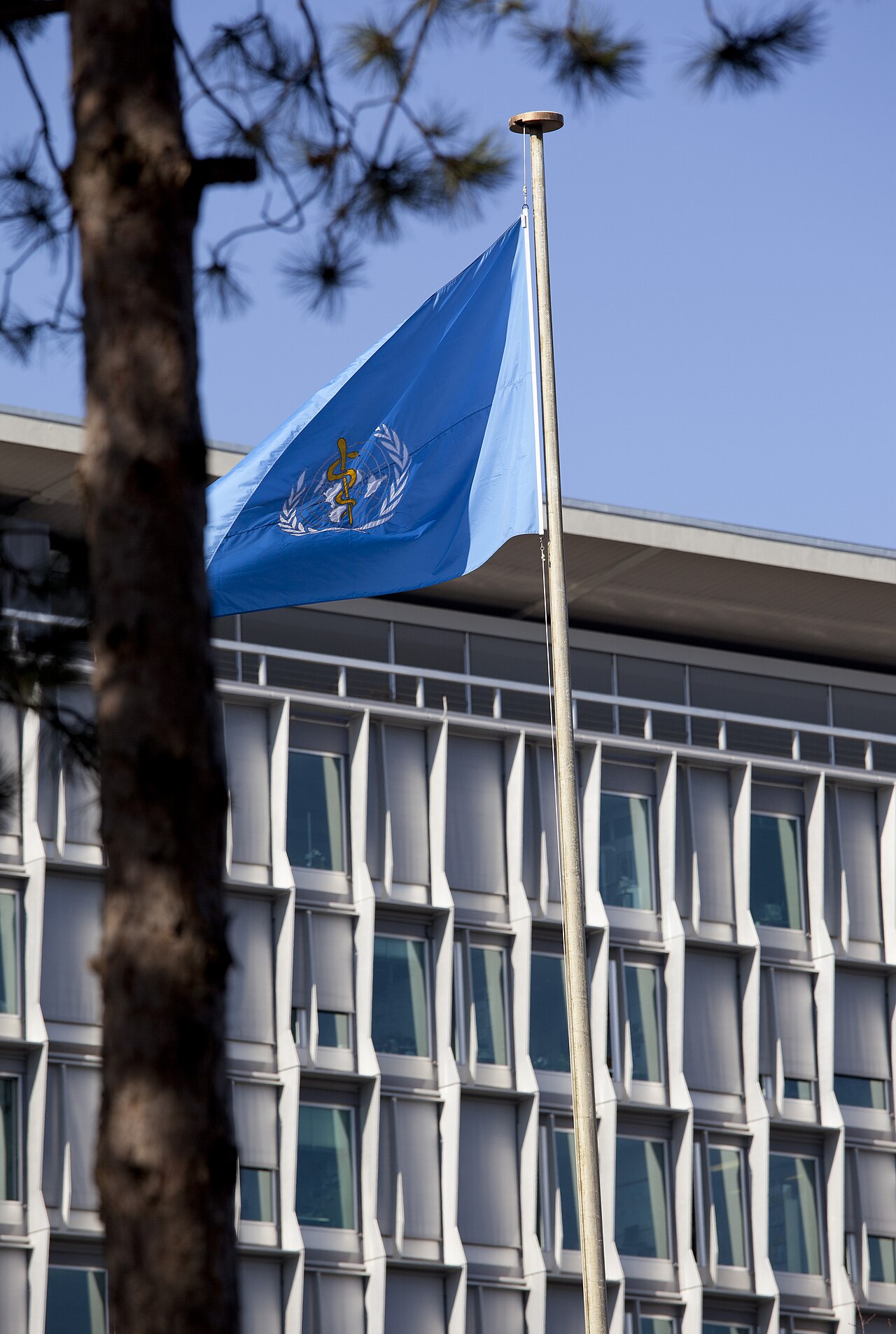 The World Health Organization flag flying at its Geneva headquarters