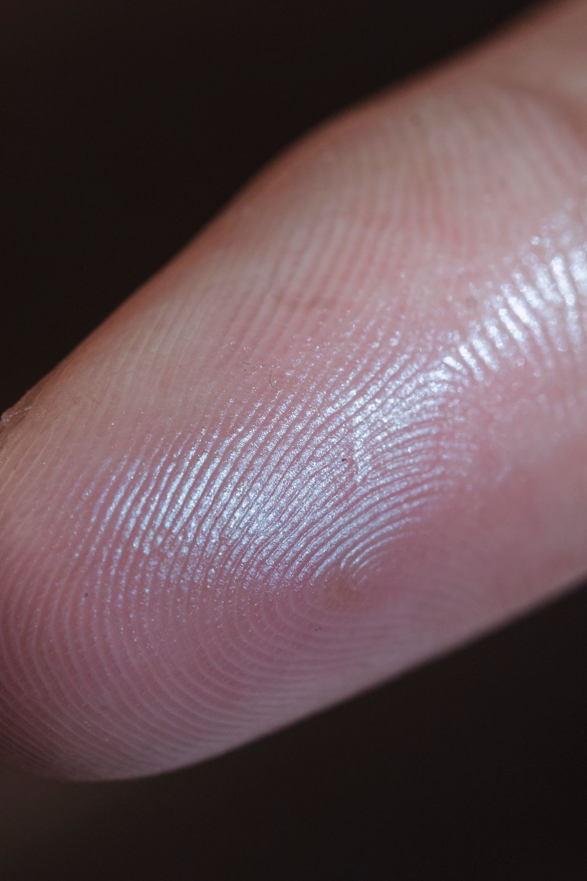 A macro photograph of a human fingerprint whorl